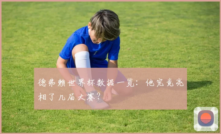 德弗赖世界杯数据一览：他究竟亮相了几届大赛？