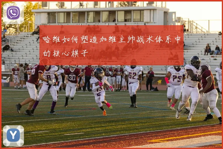 哈维如何塑造加维主帅战术体系中的核心棋子