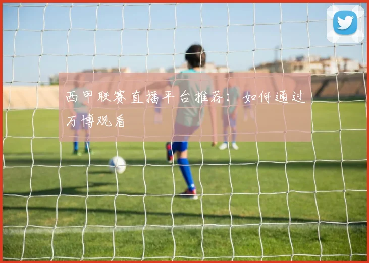 西甲联赛直播平台推荐:如何通过万博观看