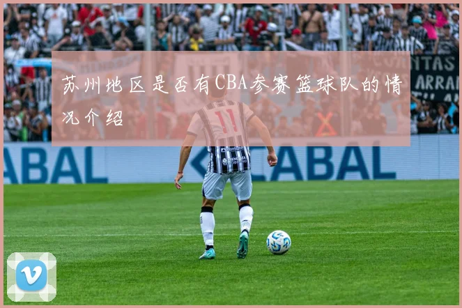 苏州地区是否有CBA参赛篮球队的情况介绍