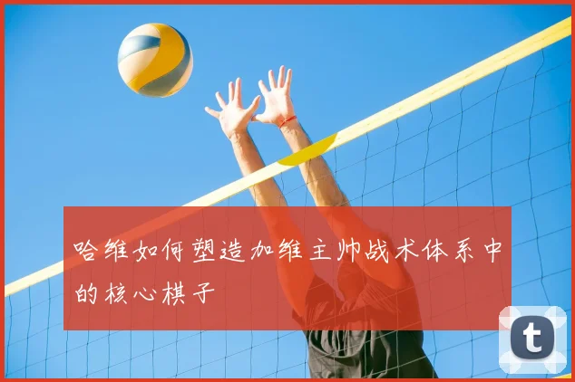 哈维如何塑造加维主帅战术体系中的核心棋子